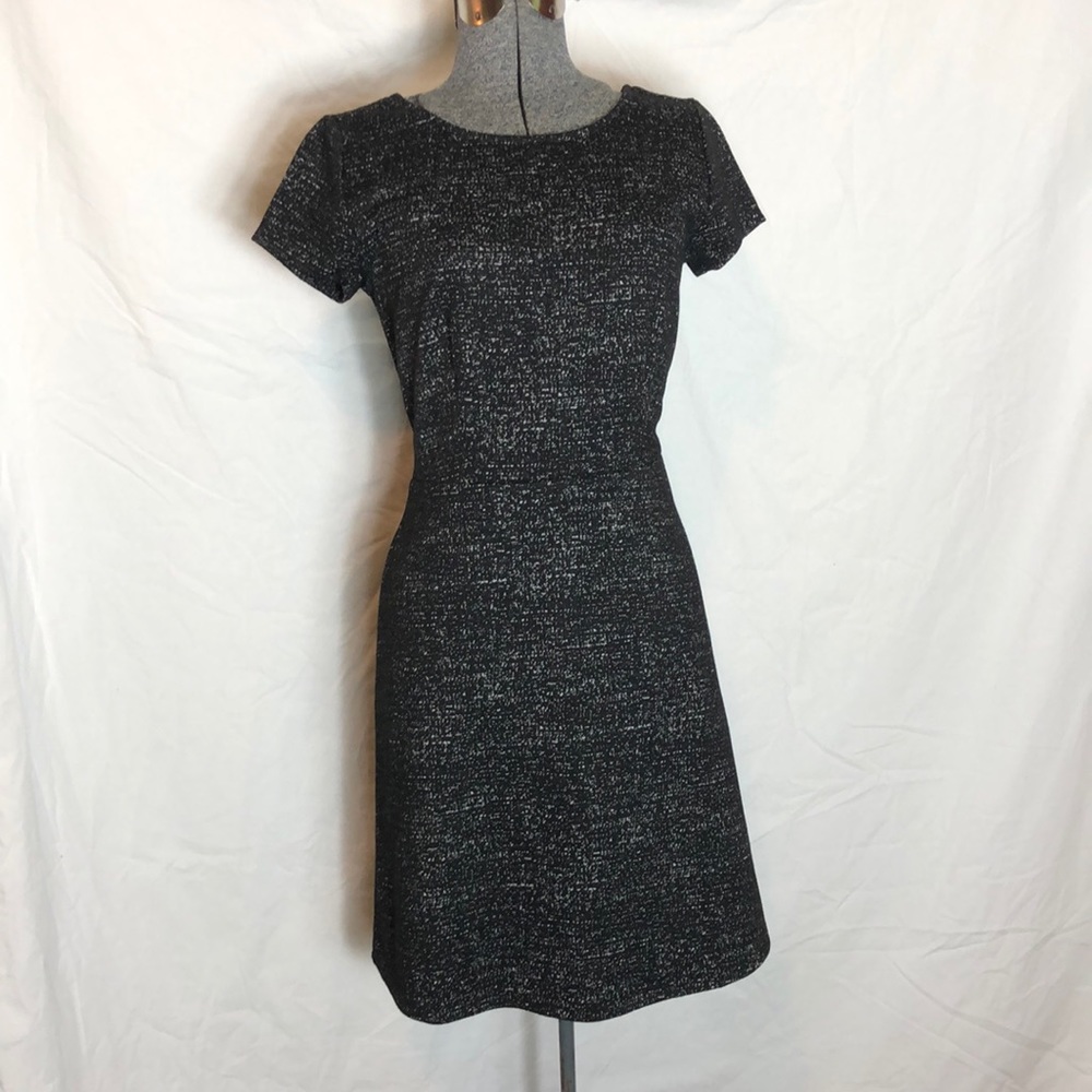 LOFT Outlet Dress (C)